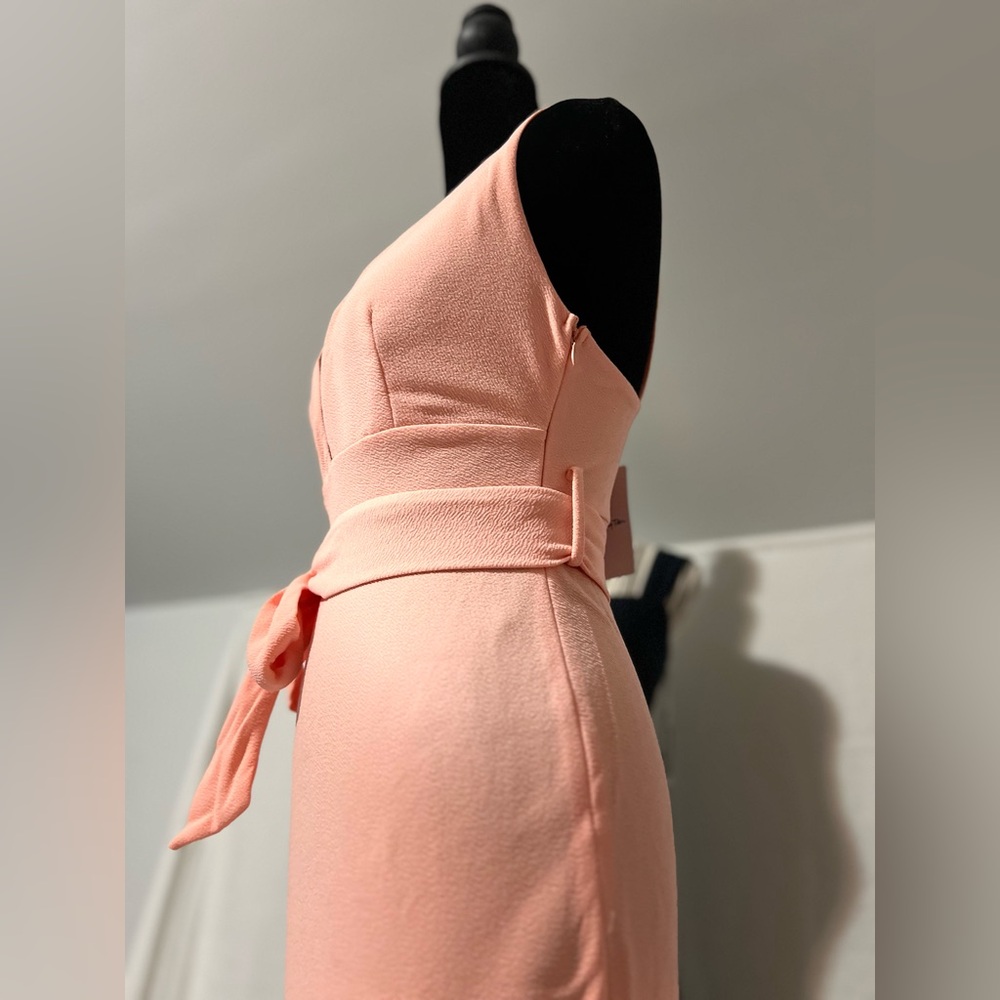 Twenty Ten Elegant Pink Trumpet/Mermaid Sweetheart Ruffle Cocktail Dress Size S - Picture 5 of 8